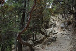 dsc_4405.jpg