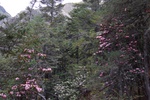 dsc_4406.jpg