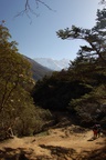 Off to Ding Boche