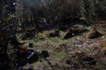 dsc_4427.jpg
