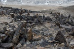 dsc_4552.jpg