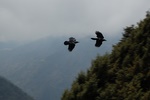 dsc_4616.jpg
