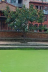 dsc_4986.jpg