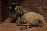 dsc_5002.jpg