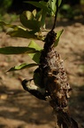 dsc_4716.jpg