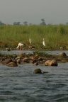 dsc_4724.jpg