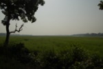dsc_4738.jpg