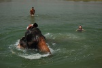 dsc_4790.jpg