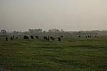 dsc_4805.jpg