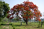 dsc_4845.jpg