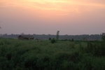 dsc_4848.jpg