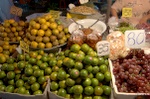 dsc_1503.jpg