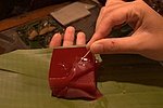 dsc_1510.jpg