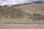 dsc_5096.jpg