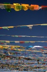 dsc_5157.jpg