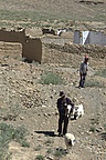 dsc_5167.jpg