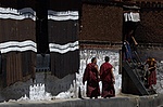 dsc_5201.jpg