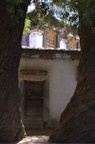 dsc_5219.jpg