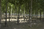 Just outside lhasa