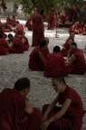 Monks debating in Sera Monastery