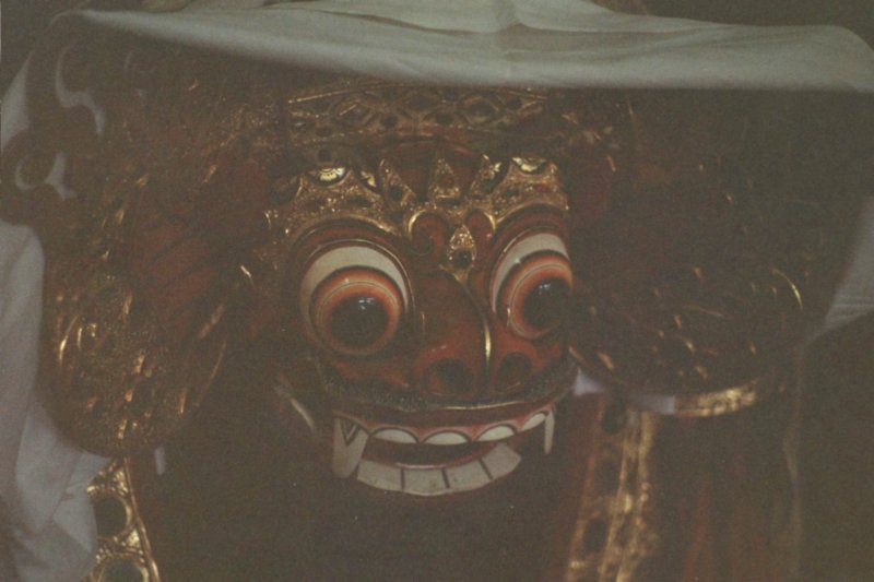 Photograph
