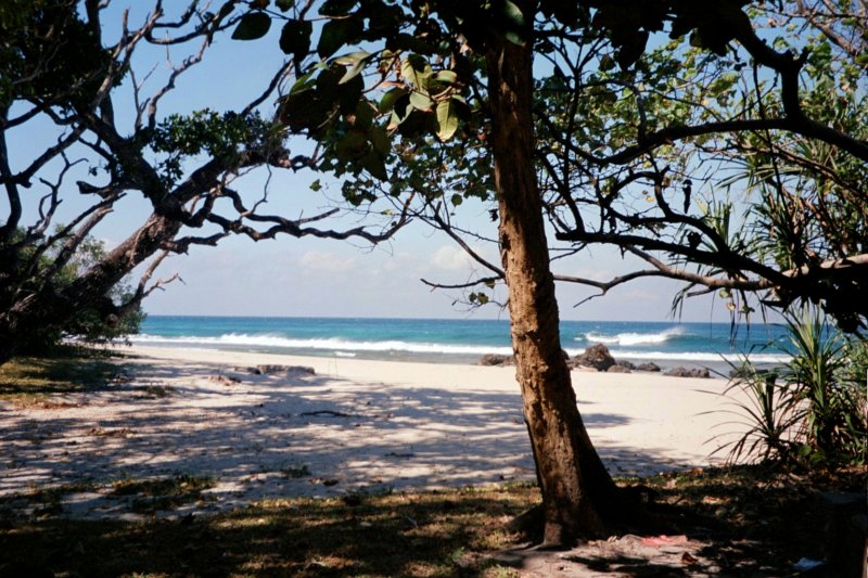 Photograph