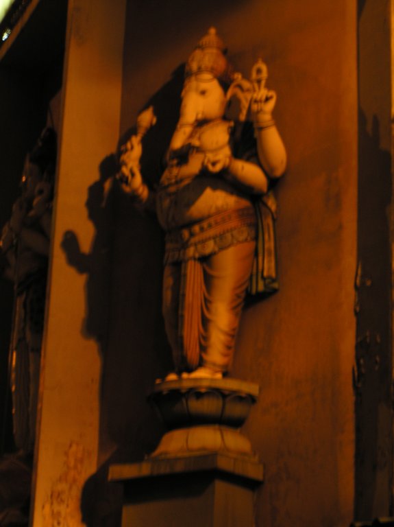 Photograph