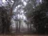 Photo Number 384