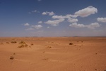 dsc_0312.jpg