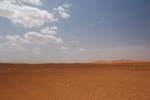 dsc_0313.jpg