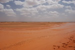 dsc_0330.jpg