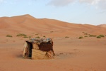 dsc_0412.jpg