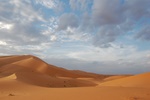 dsc_0419.jpg