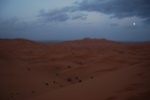dsc_0440.jpg