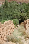 dsc_0606.jpg