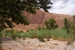dsc_0609.jpg