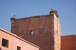 dsc_0650.jpg