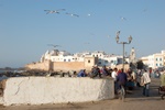 dsc_0818.jpg
