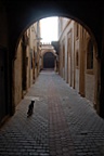 dsc_0819.jpg