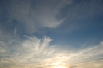 dsc_0949.jpg