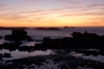 dsc_0976.jpg