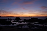 dsc_0980.jpg