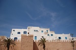 dsc_1020.jpg