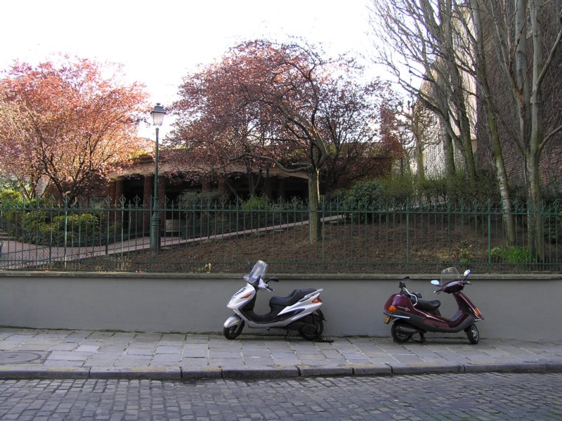 Photograph