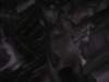 Photo Number 14