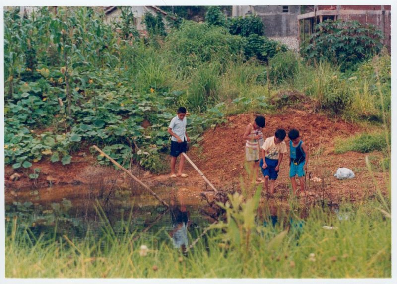 Photograph