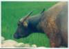 Photo Number 46