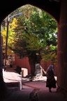 ir0_0722.jpg