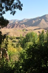 ir0_0735.jpg