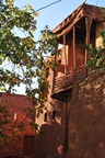 ir0_0736.jpg